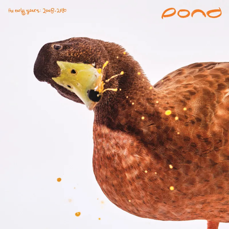 POND - EARLY YEARS: 2008 - 2010 (2LP'S) (RSD 2025)