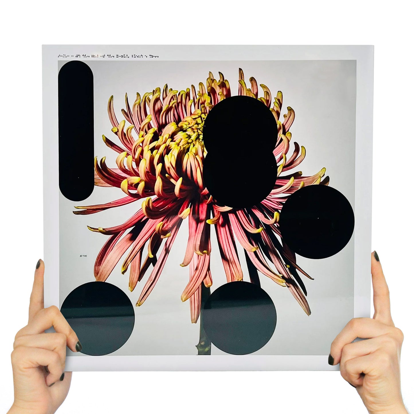 SO/LO - AT THE END OF THE WORLD, PLANT A TREE (TRANSPARENT VINYL)