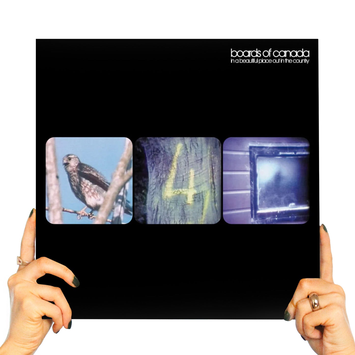 BOARDS OF CANADA - IN A BEAUTIFUL PLACE OUT IN THE COUNTRY