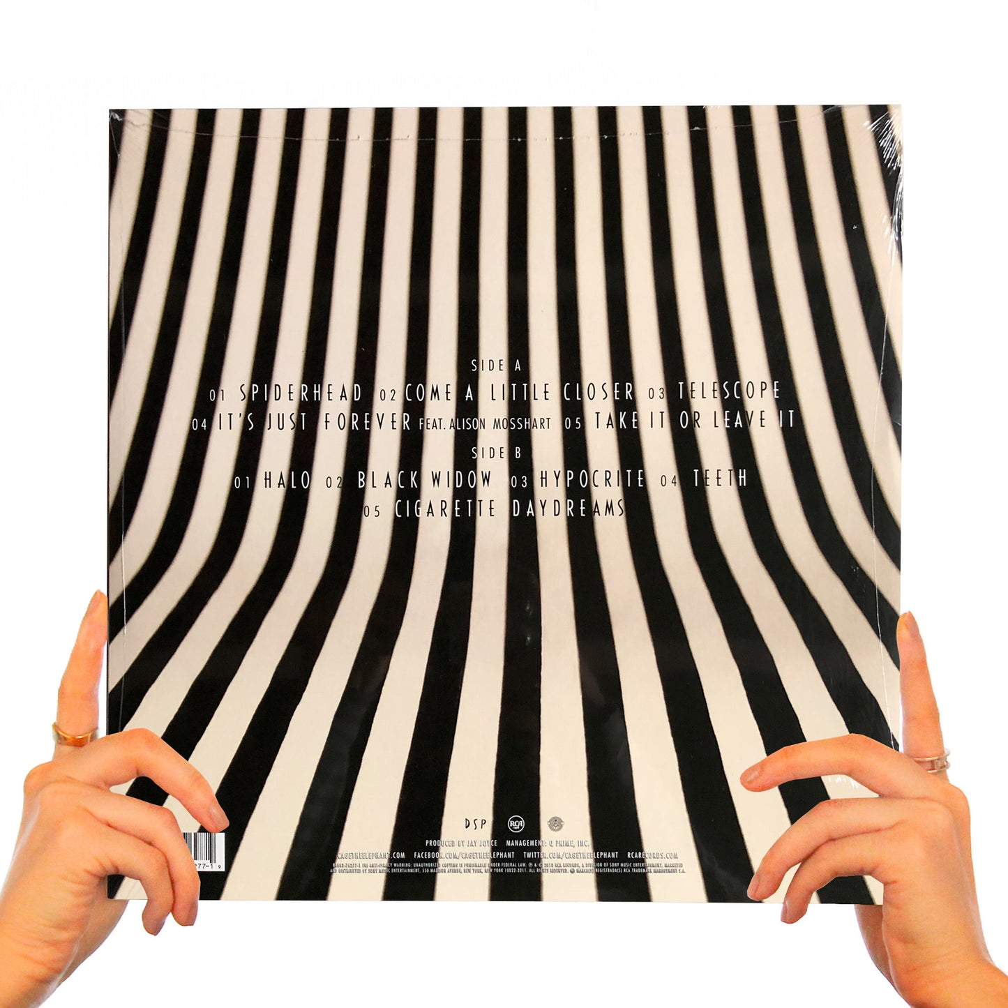 CAGE THE ELEPHANT - MELOPHOBIA