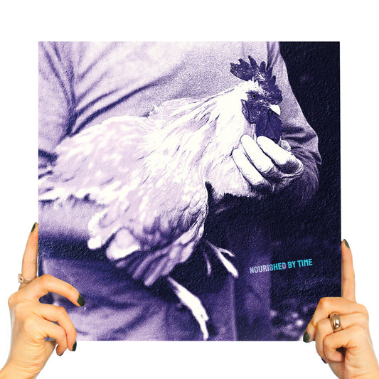 NOURISHED BY TIME - CATCHING CHICKENS