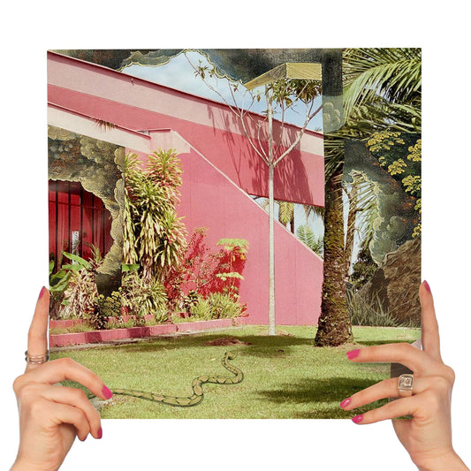 SUGAR CANDY MOUNTAIN - 666 (LIME VINYL)