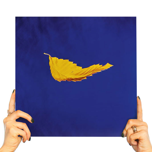 NEW ORDER - TRUE FAITH (12" VINYL)