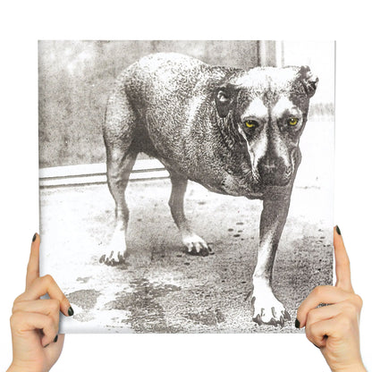 ALICE IN CHAINS - ALICE IN CHAINS (30TH ANNIVERSARY 2LP'S YELLOW NEON VINYL)