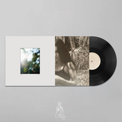 ANA FAUNA - COMO DORMIDA EN LA PLAYA