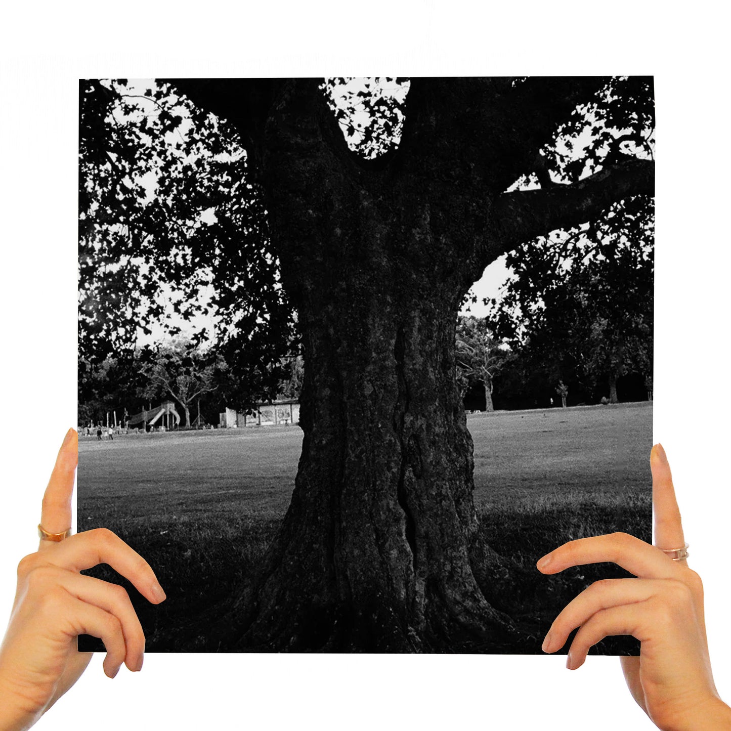 ARCHY MARSHALL & KING KRULE : A NEW PLACE 2 DROWN (INSTRUMENTALS)