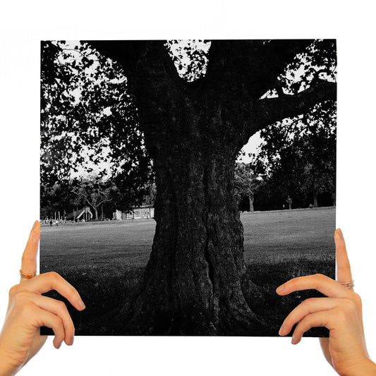 ARCHY MARSHALL & KING KRULE : A NEW PLACE 2 DROWN (INSTRUMENTALS)