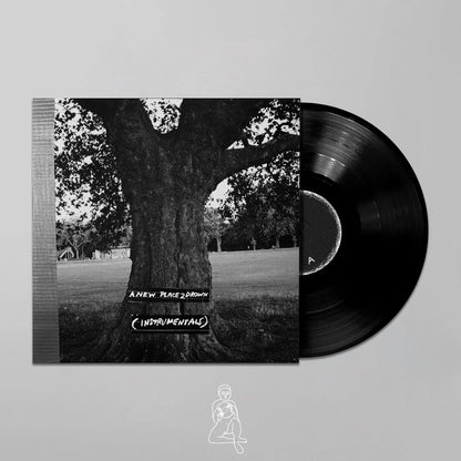 ARCHY MARSHALL & KING KRULE : A NEW PLACE 2 DROWN (INSTRUMENTALS)