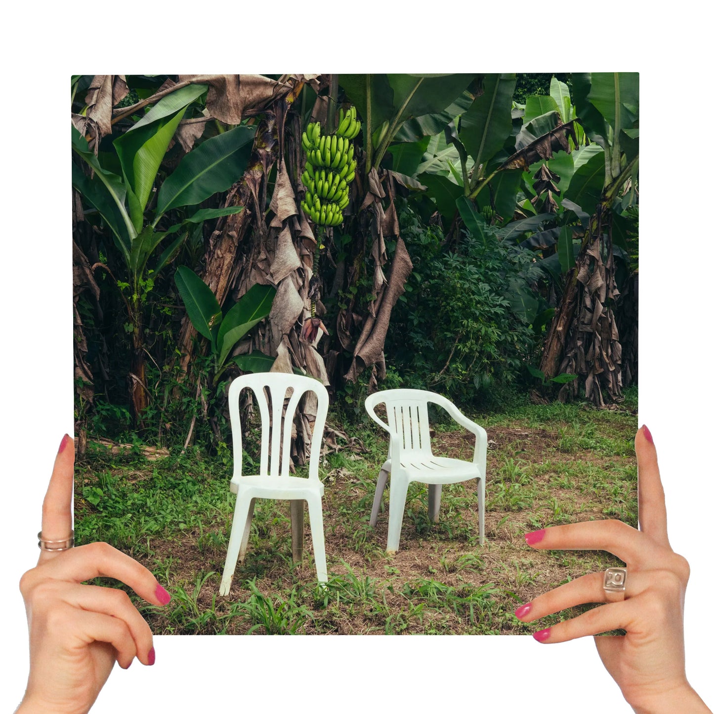 BAD BUNNY - DEBI TIRAR MAS FOTOS (2 LP'S WHITE VINYL)