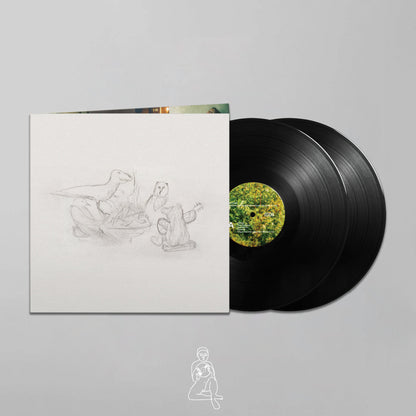 BIG THIEF - DRAGON NEW WARM MOUNTAIN I BELIEVE IN YOU (2 LP'S)