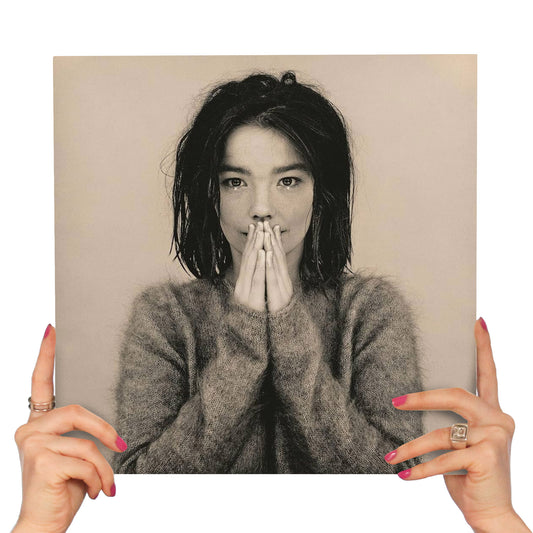 BJÖRK - DEBUT