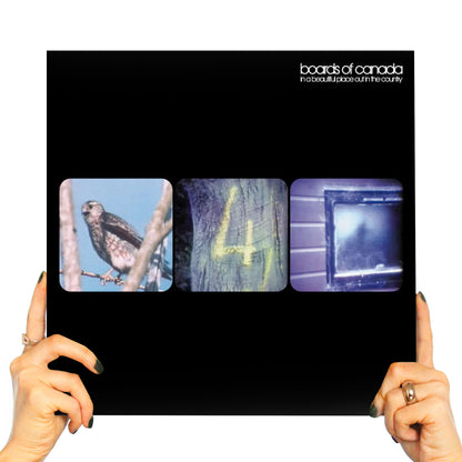 BOARDS OF CANADA - IN A BEAUTIFUL PLACE OUT IN THE COUNTRY