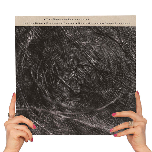 COCTEAU TWINS AND HAROLD BUDD - THE MOON AND THE MELODIES