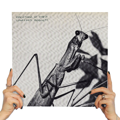COURTNEY BARNETT - CREATURE OF HABIT (ANOTHER BEAUTIFUL CARAMEL DAY VINYL)
