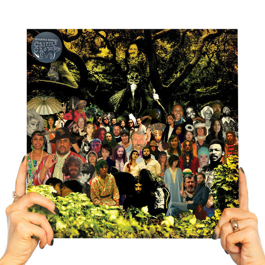 DEVENDRA BANHART - CRIPPLE CROW (2 LP'S)