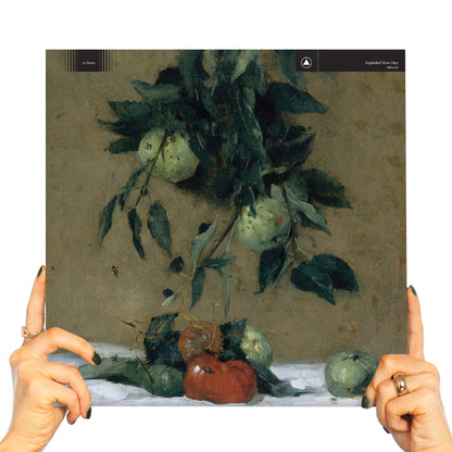 EXPLODED VIEW - OBEY