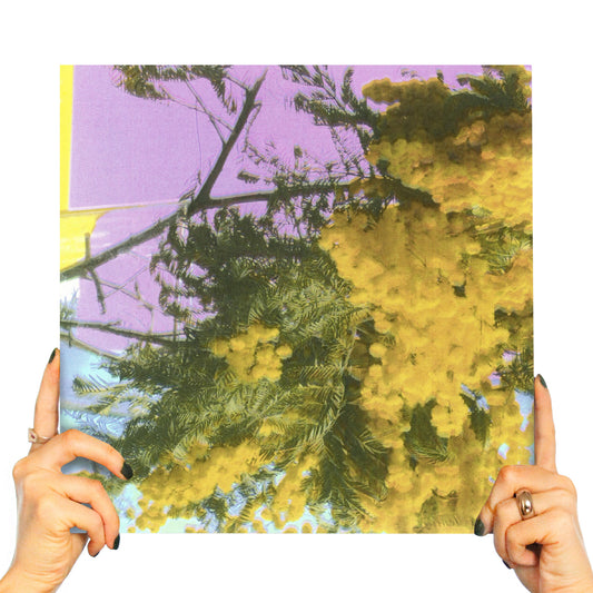 FOUR TET - INTO DUST (STILL FALLING)