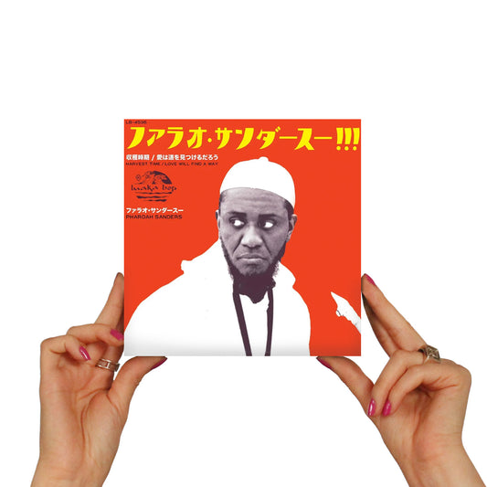 PHAROAH SANDERS - HARVEST TIME (収穫時期 - RADIO EDIT)
