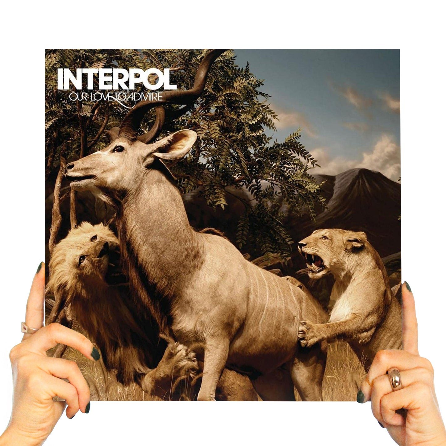 INTERPOL - OUR LOVE TO ADMIRE (2 LP'S)