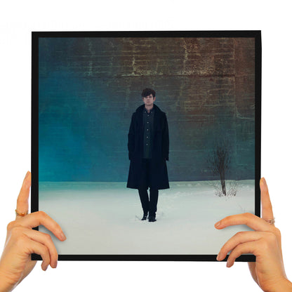 JAMES BLAKE - OVERGROWN (2 LP'S)
