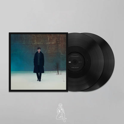 JAMES BLAKE - OVERGROWN (2 LP'S)