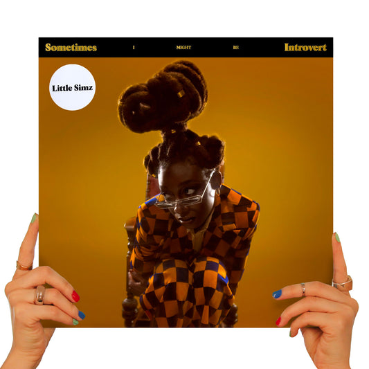 LITTLE SIMZ - SOMETIMES I MIGHT BE INTROVERT (MILKY CLEAR VINYL)