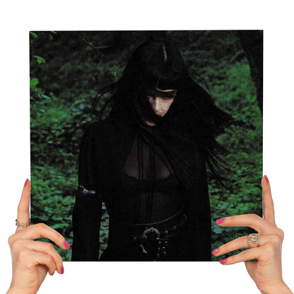 NOT FOR RADIO - MELT (TRANSLUCENT WOOD VINYL)