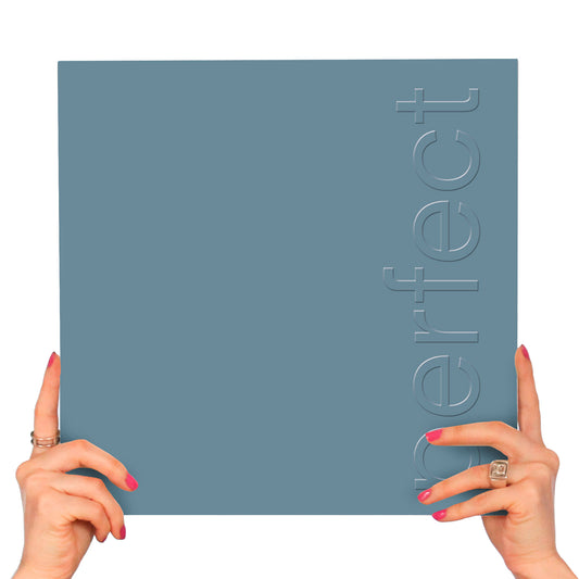NEW ORDER - THE PERFECT KISS (12" VINYL)