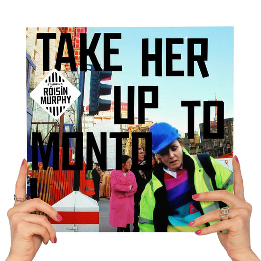 RÓISÍN MURPHY - TAKE HER UP TO MONTO (2 LP'S)