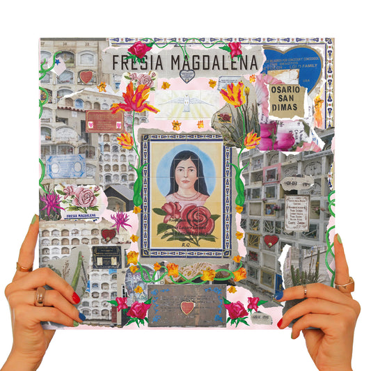 SOFIA KOURTESIS - FRESIA MAGDALENA