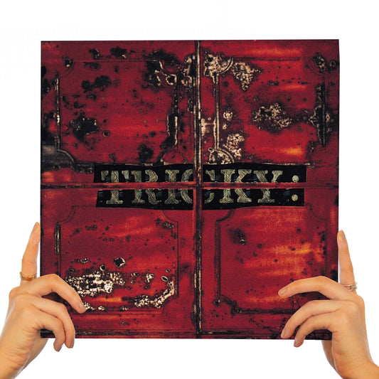 TRICKY - MAXINQUAYE