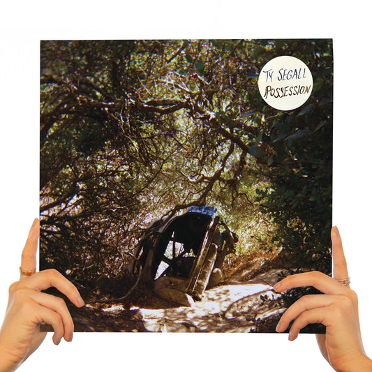 TY SEGALL - POSSESSION