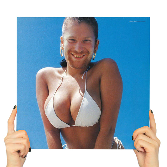 APHEX TWIN - WINDOWLICKER